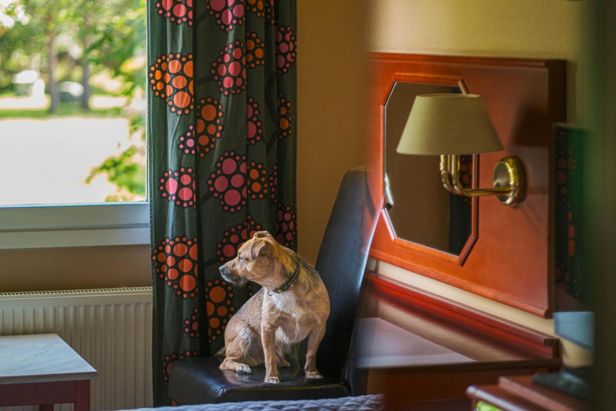 Jaemtkrogen Hotell Bracke  ห้อง รูปภาพ